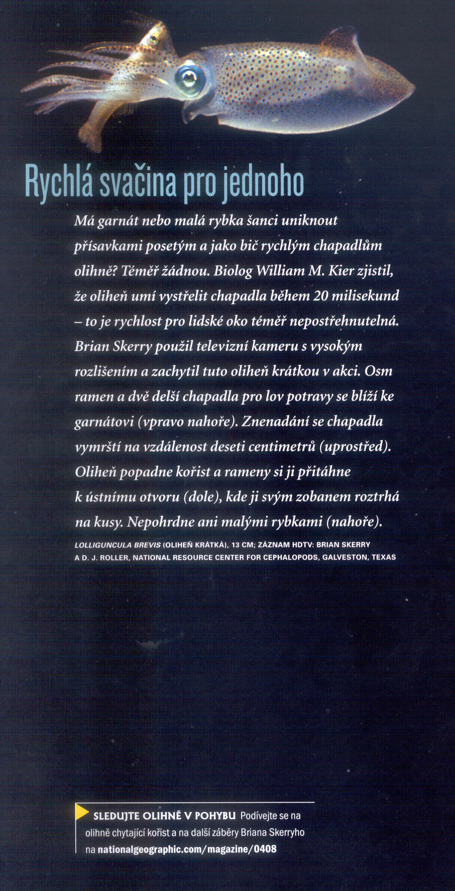 Článek