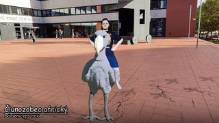 morozedu