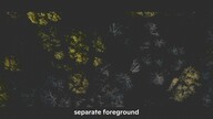 sprynpa1