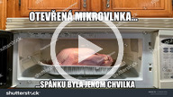 sprynpa1