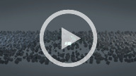 sprynpa1